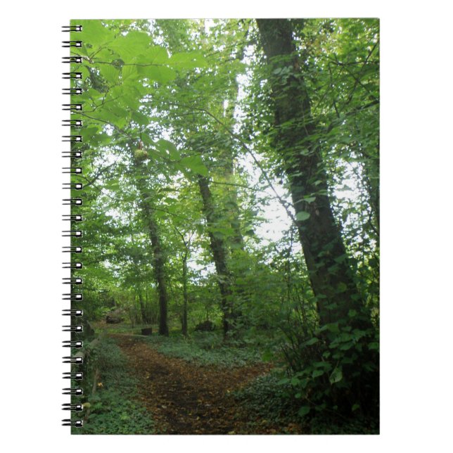 Path through the Green Forest Notebook (Front)