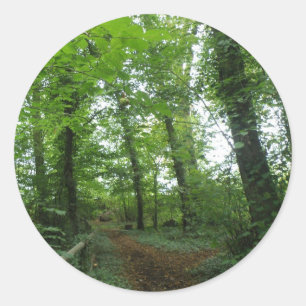 Path through the Green Forest Stickers
