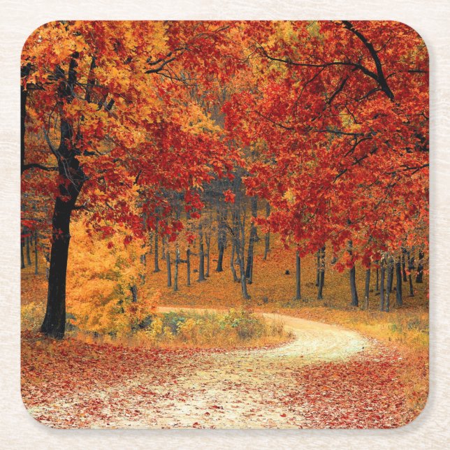 Path Through the Trees in Autumn Square Paper Coaster (Front)