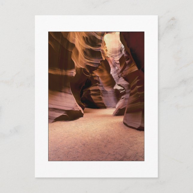 "Path Through Time" Postcard (Front)