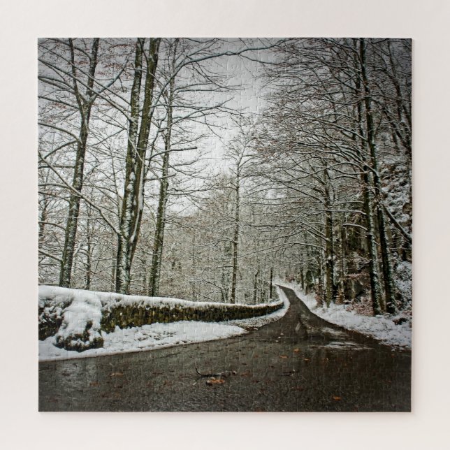 Path to Dreamland - German Forest -20x20-676 pcs Jigsaw Puzzle (Vertical)