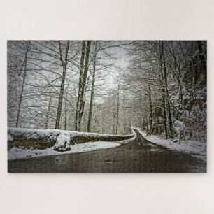 Path to Dreamland - German Forest - 20x30-1014 pc Jigsaw Puzzle
