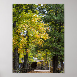 Path To Kaysinger General Store Poster