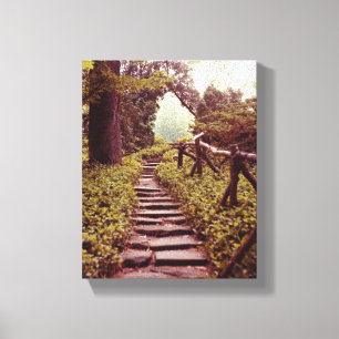 Path To Light Canvas Print