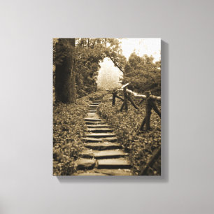 Path To Light Canvas Print