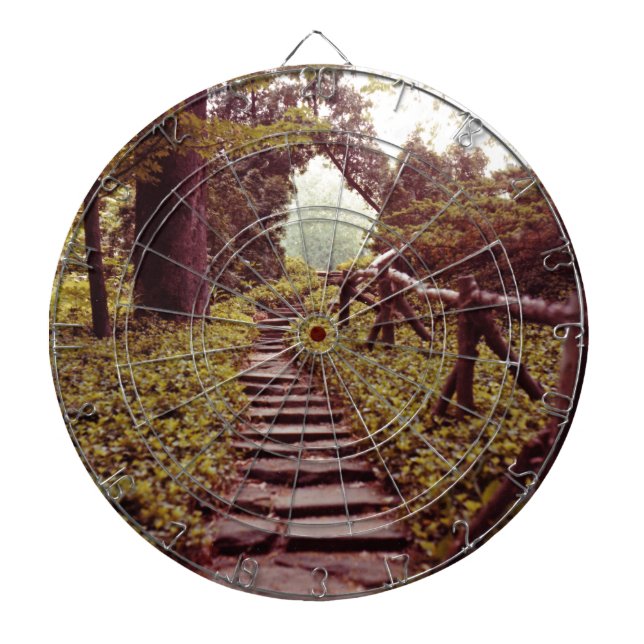 Path To Light Dartboard (Front)