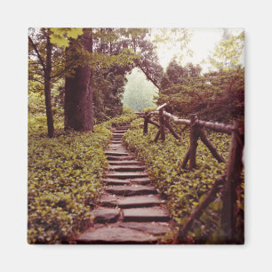 Path To Light Magnet
