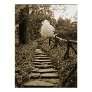 Path To Light Poster