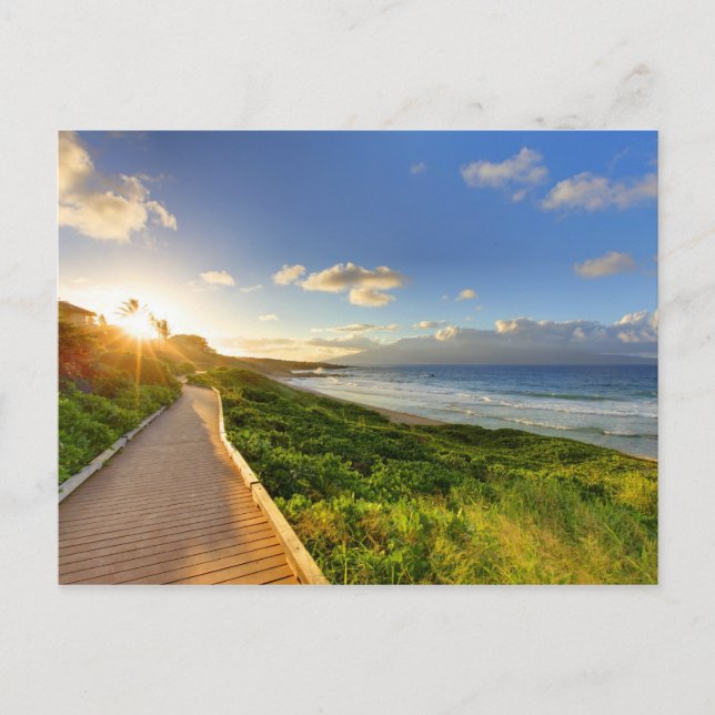 Path to Sunset. Oneloa Beach. Maui. Postcard (Front)
