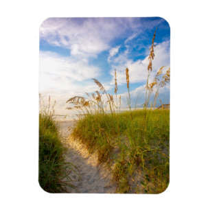 Path to the Beach Magnet