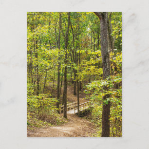 Path To The Bridge Postcard