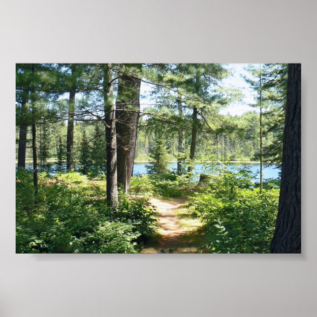 "Path to the Lake" Poster (Front)