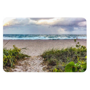 Path to the Ocean Magnet