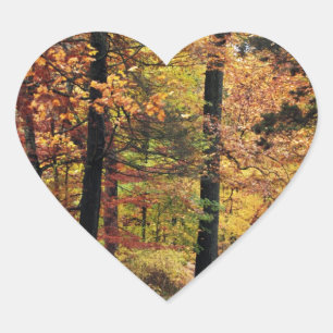 Paths Heart Sticker