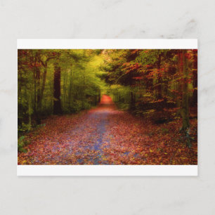 Paths in Nature Postcard
