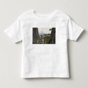 Pathway and small bridge, Yellow Mountain, 2 Toddler T-Shirt