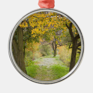 Pathway in Autumn Metal Tree Decoration