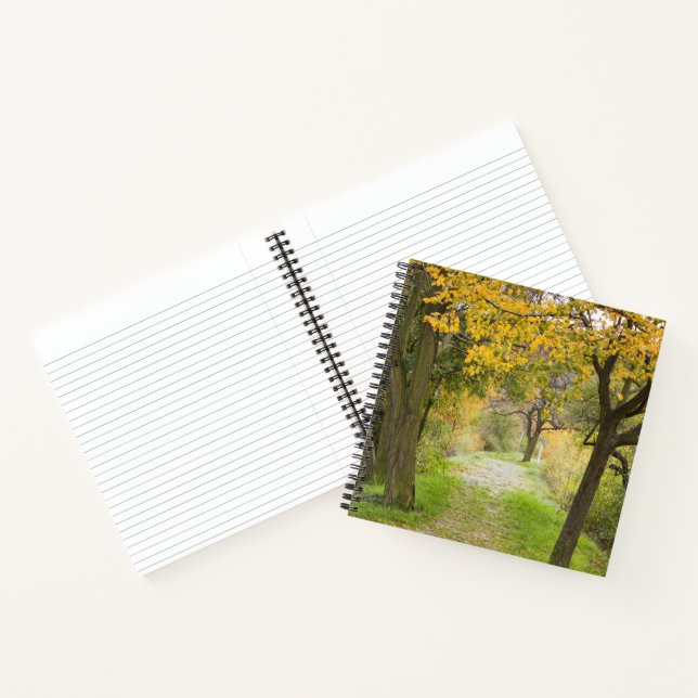 Pathway in Autumn Notebook (Inside)