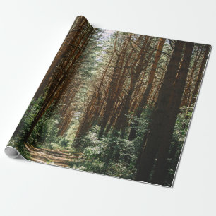 PATHWAY IN FOREST WRAPPING PAPER