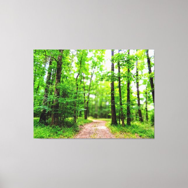 Pathway in Lush Green Forest Canvas Print (Front)