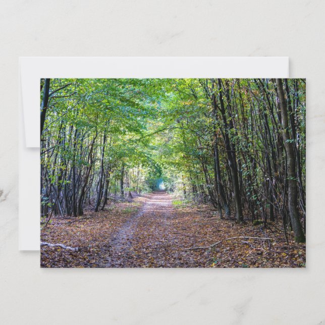 Pathway in the autumn forest, Saint Germain Forest Invitation (Front)