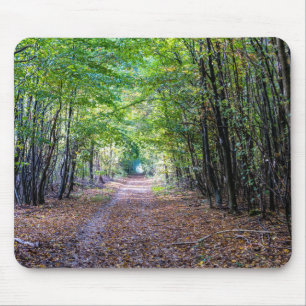 Pathway in the autumn forest, Saint Germain Forest Mouse Mat