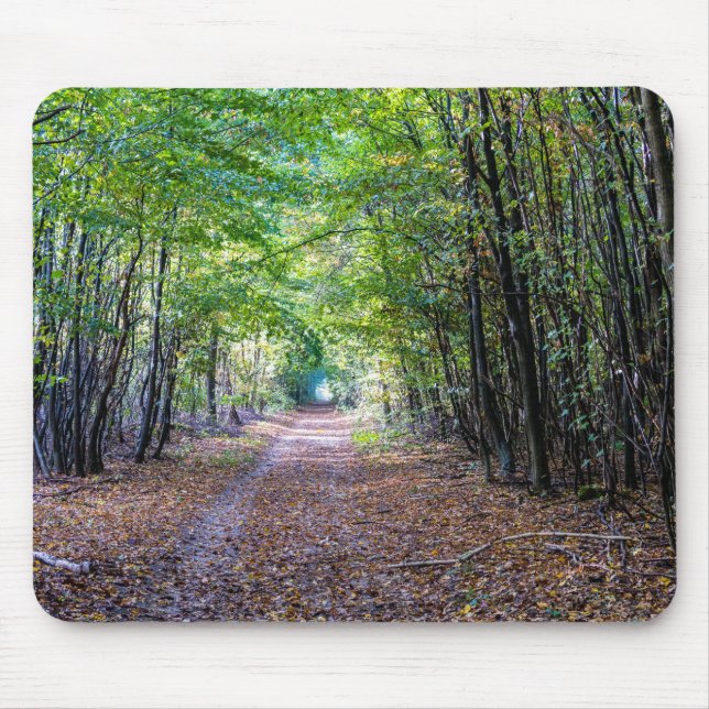 Pathway in the autumn forest, Saint Germain Forest Mouse Mat (Front)