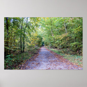 Pathway in the autumn forest, Saint Germain Forest Poster