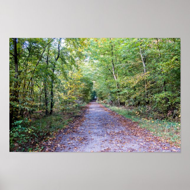 Pathway in the autumn forest, Saint Germain Forest Poster (Front)