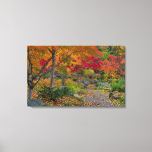 Pathway leads to park bench canvas print