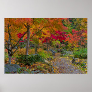 Pathway leads to park bench poster