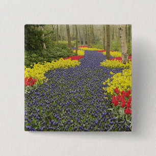 Pathway of Grape Hyacinth, daffodils, and 15 Cm Square Badge