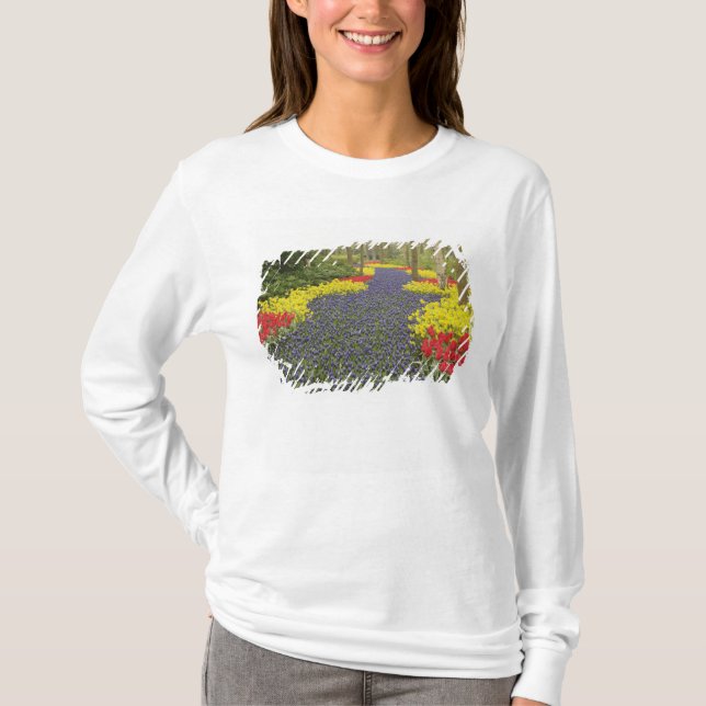 Pathway of Grape Hyacinth, daffodils, and T-Shirt (Front)
