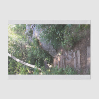 Pathway Through Trees Tissue Paper