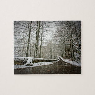 Pathway to Dreamland -German Forest- 8x10 -110 pc Jigsaw Puzzle