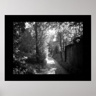 Pathway to Paradise Poster