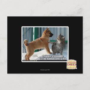 Patience, Grasshopper. Postcard