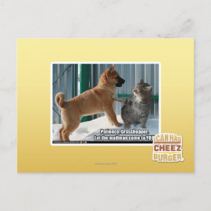 Patience, Grasshopper. Postcard