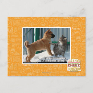 Patience, Grasshopper. Postcard