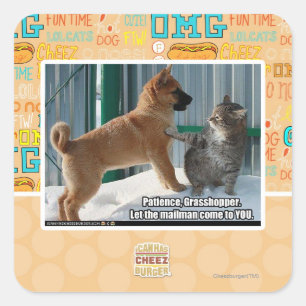 Patience, Grasshopper. Square Sticker
