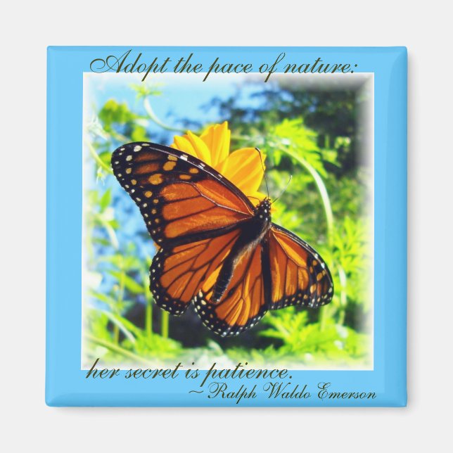 Patience is a virtue Monarch Magnet (Front)
