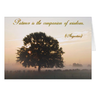 Patience is the companion of wisdom