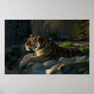 Patience Poster