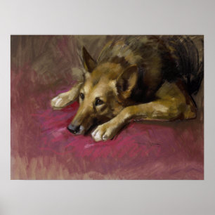 Patient German Shepherd by Marino Lenci Poster