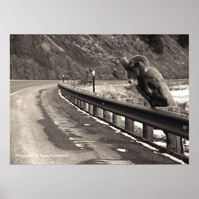 patient poster (Front)