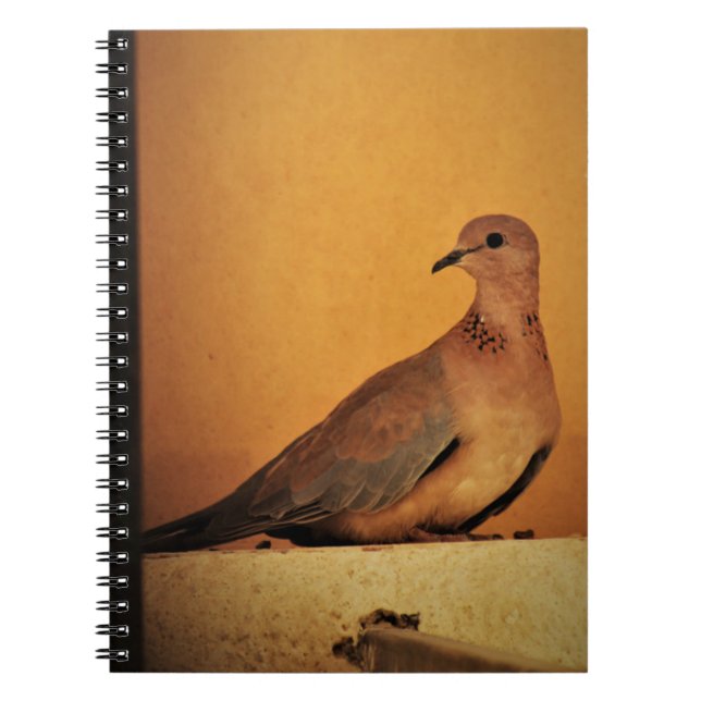 Patiently Posing Notebook (Front)