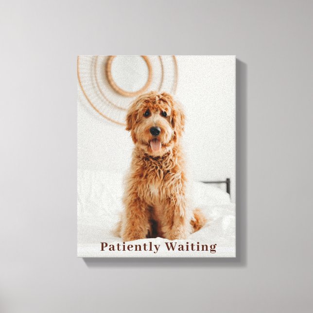  Patiently Waiting Canvas Print (Front)