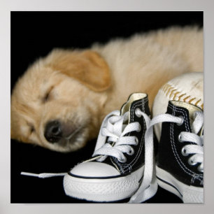 Patiently Waiting Poster