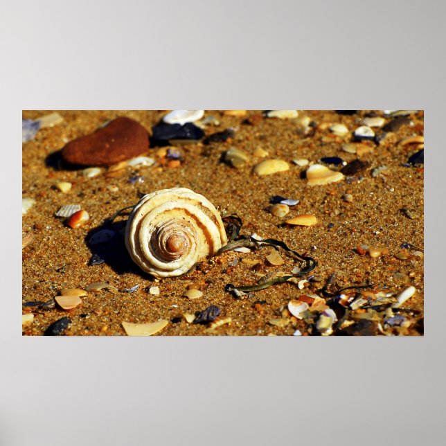 patonga sand poster (Front)