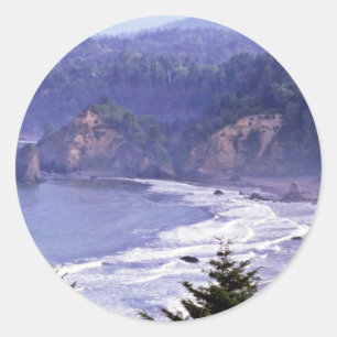 Patrick's Point State Park Classic Round Sticker